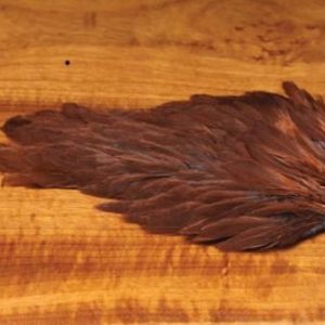 India Hen Back